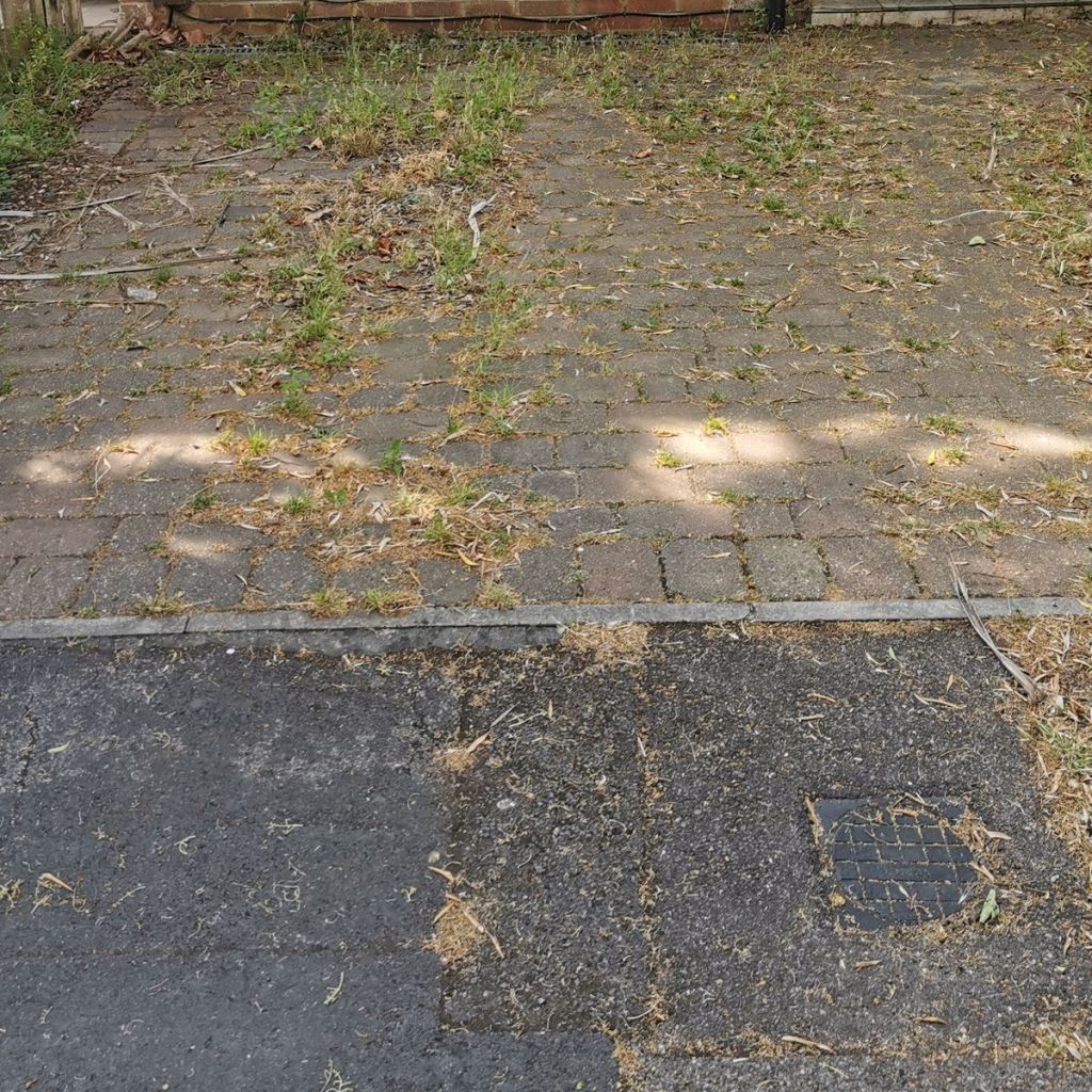 Front garden and block paving before clearance, overgrown with weeds