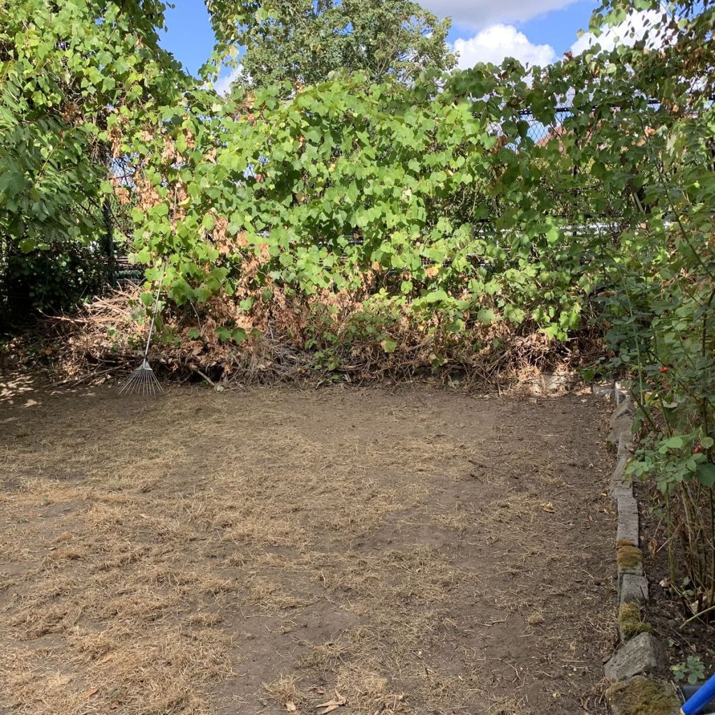 Back garden after clearance, with waste taken away