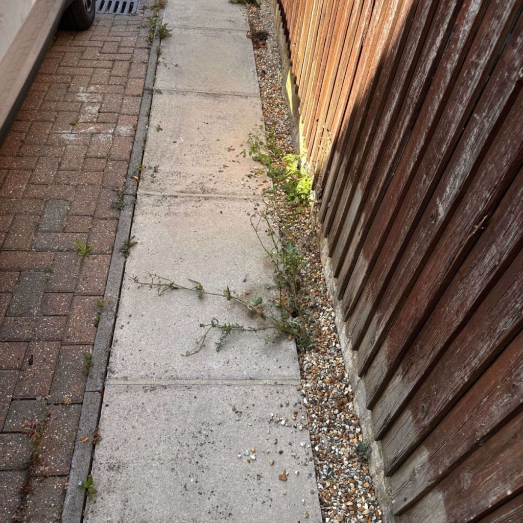 Concrete path and gravel edge overgrown with weeds before weeding