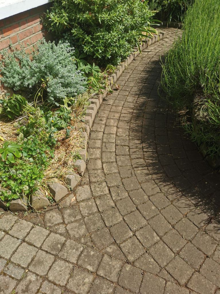 Block paved garden path cleared of weeds